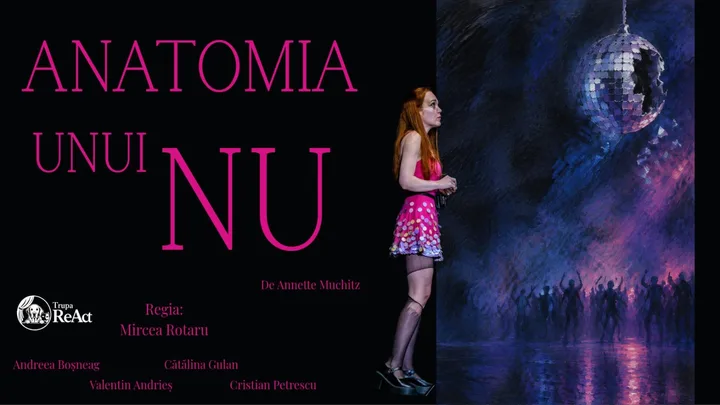 Afișul spectacolului Anatomia unui Nu