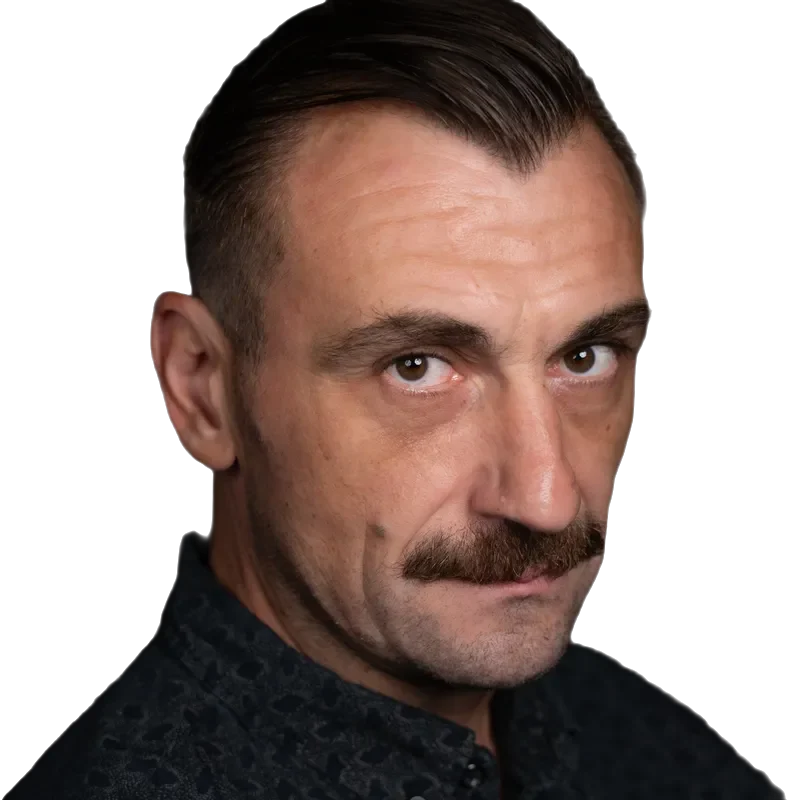 Portret: Radu Vulpe