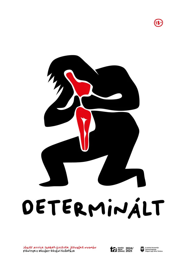 Afișul spectacolului Determinat