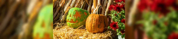 Afișul spectacolului Steluta Pumpkin Lighting